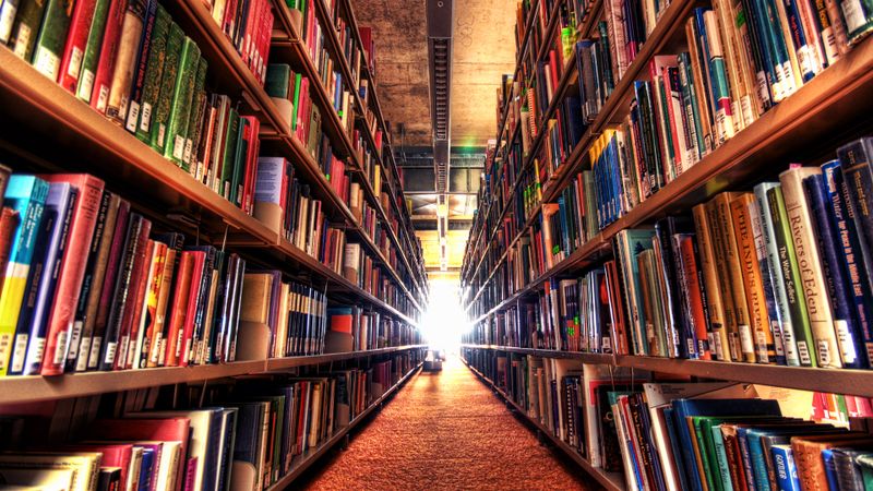 Illustration for article titled Bookshelves?